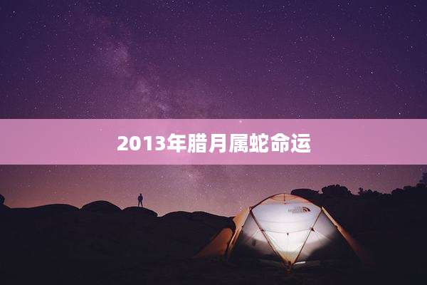 2013年腊月属蛇命运