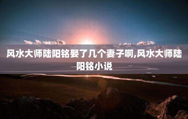 风水大师陆阳铭娶了几个妻子啊,风水大师陆阳铭小说