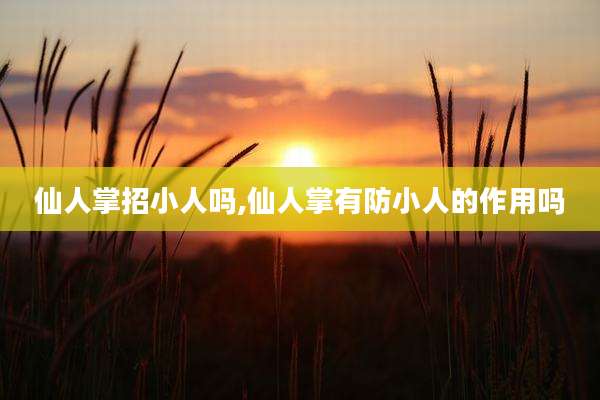 仙人掌招小人吗,仙人掌有防小人的作用吗