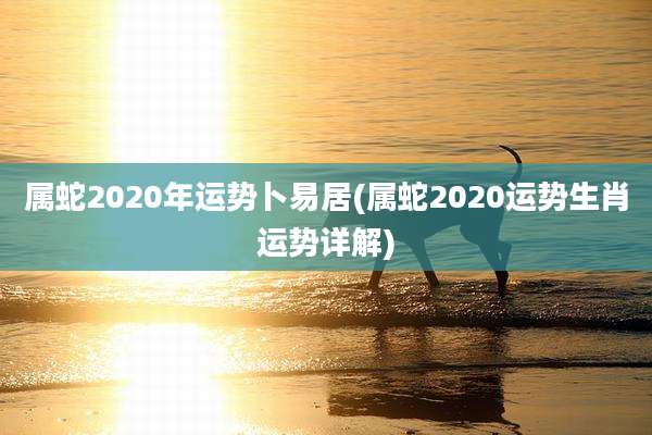 属蛇2020年运势卜易居(属蛇2020运势生肖运势详解)