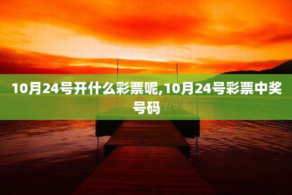 10月24号开什么彩票呢,10月24号彩票中奖号码