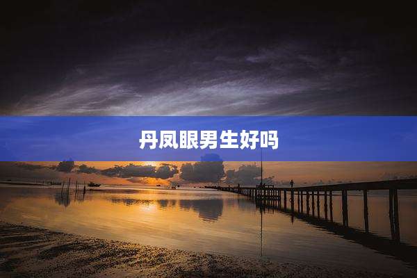 丹凤眼男生好吗
