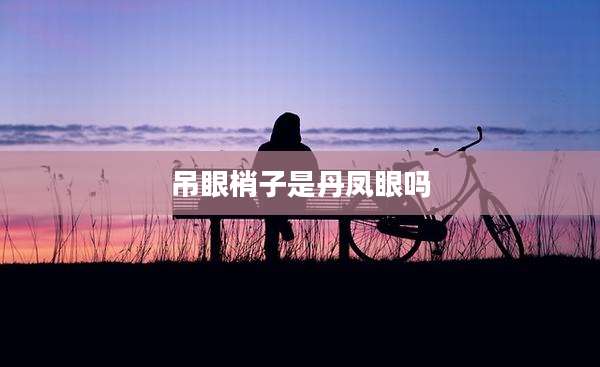 吊眼梢子是丹凤眼吗