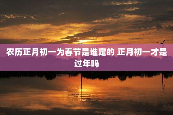 农历正月初一为春节是谁定的 正月初一才是过年吗