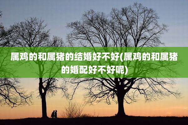 属鸡的和属猪的结婚好不好(属鸡的和属猪的婚配好不好呢)