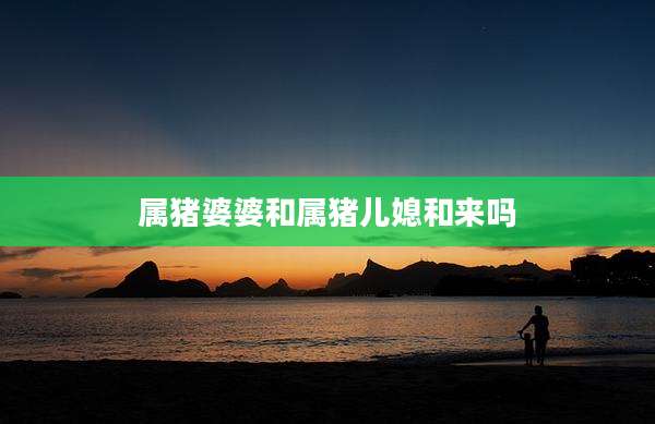属猪婆婆和属猪儿媳和来吗