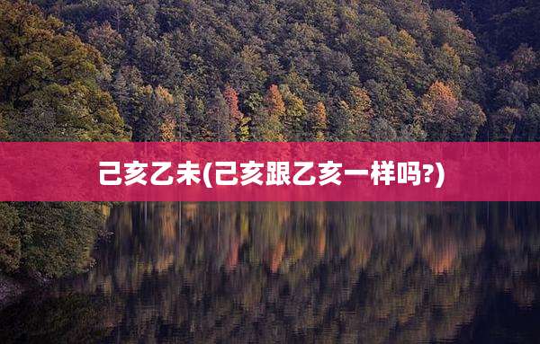 己亥乙未(己亥跟乙亥一样吗?)