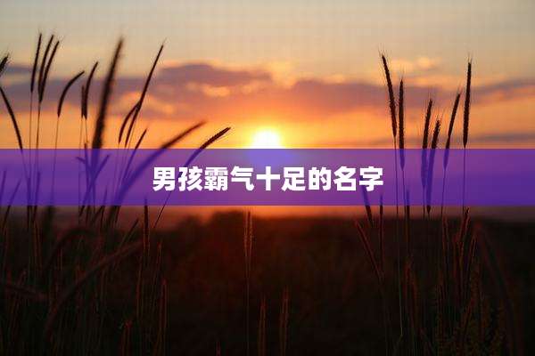 男孩霸气十足的名字