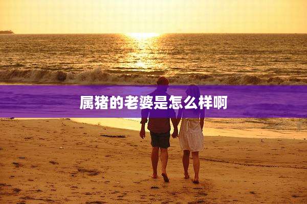 属猪的老婆是怎么样啊