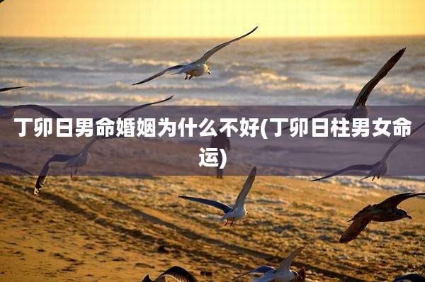 丁卯日男命婚姻为什么不好(丁卯日柱男女命运)