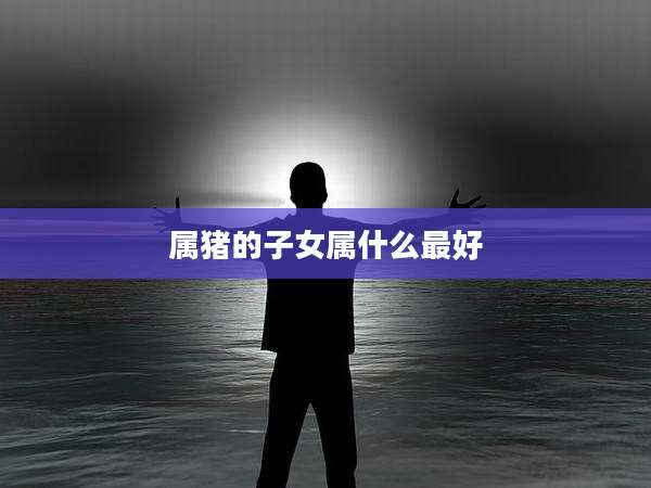 属猪的子女属什么最好