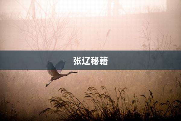 张辽秘籍