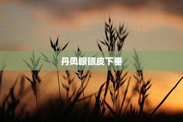 丹凤眼眼皮下垂
