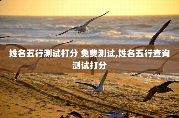 姓名五行测试打分 免费测试,姓名五行查询测试打分