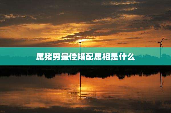 属猪男最佳婚配属相是什么