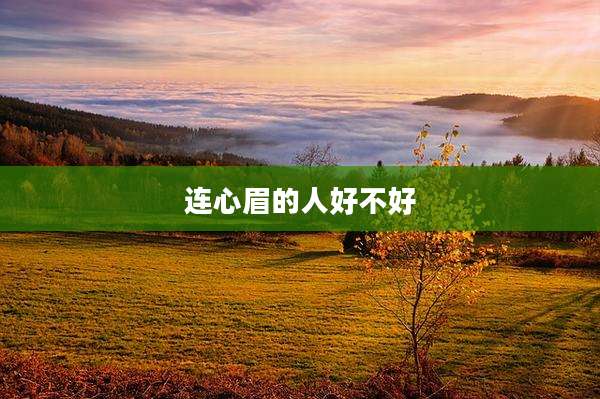 连心眉的人好不好