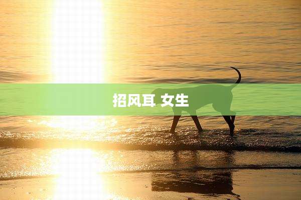 招风耳 女生