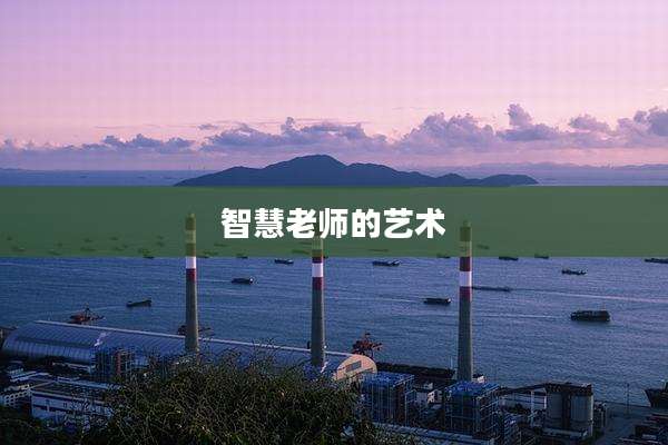 智慧老师的艺术