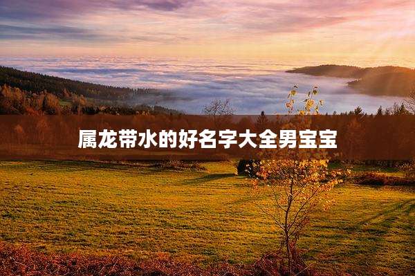 属龙带水的好名字大全男宝宝