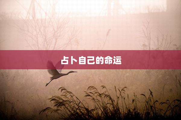 占卜自己的命运