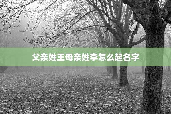 父亲姓王母亲姓李怎么起名字