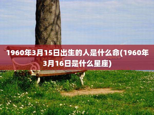 1960年3月15日出生的人是什么命(1960年3月16日是什么星座)