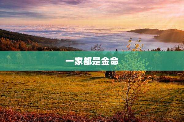 一家都是金命