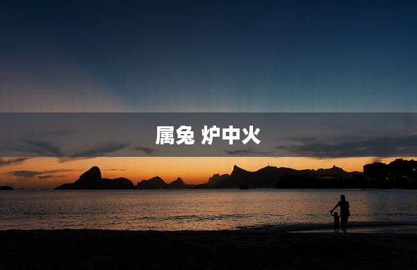 属兔 炉中火