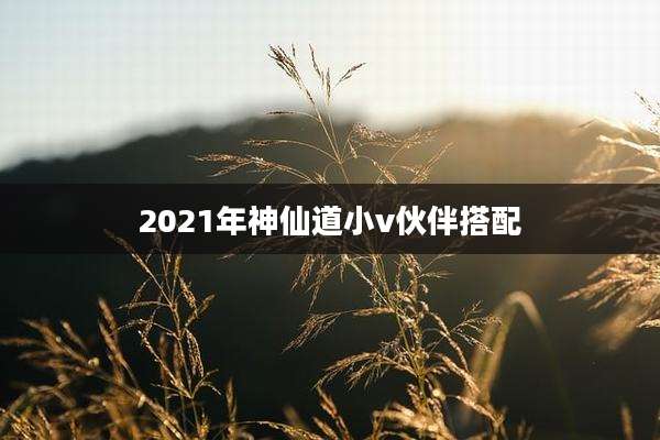 2021年神仙道小v伙伴搭配