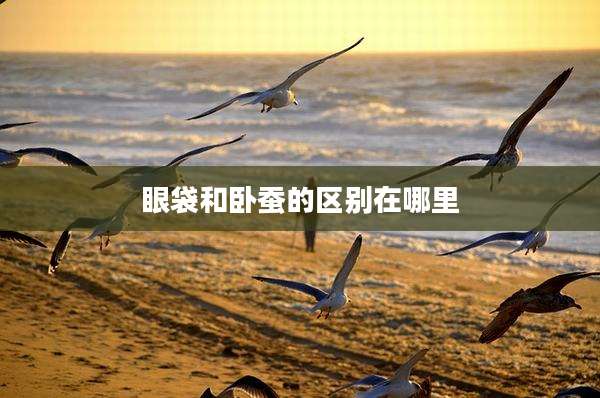 眼袋和卧蚕的区别在哪里