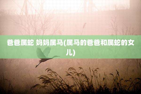 爸爸属蛇 妈妈属马(属马的爸爸和属蛇的女儿)