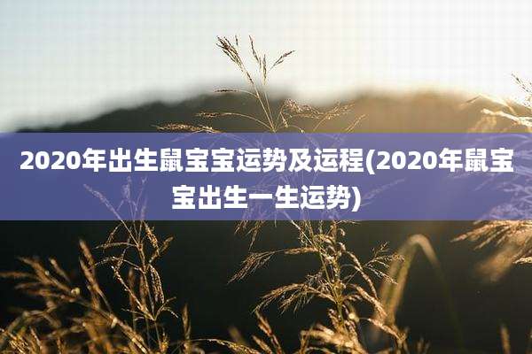 2020年出生鼠宝宝运势及运程(2020年鼠宝宝出生一生运势)