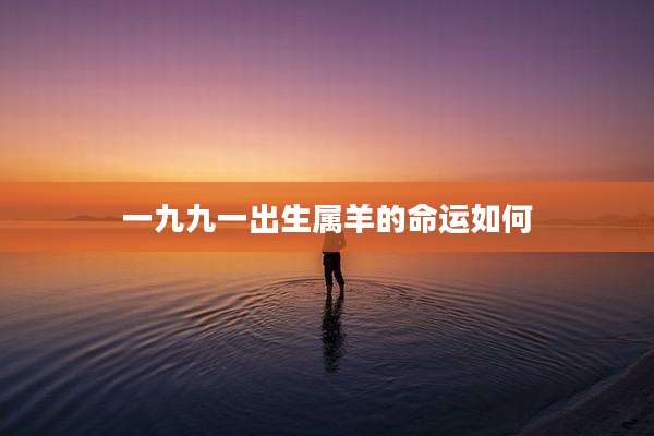 一九九一出生属羊的命运如何