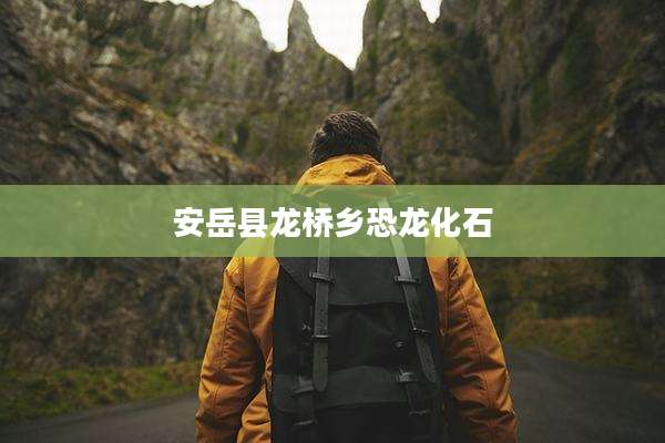 安岳县龙桥乡恐龙化石