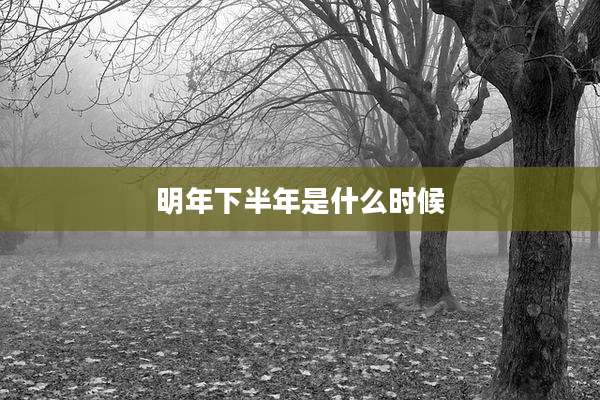 明年下半年是什么时候