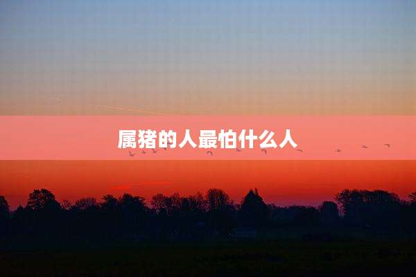 属猪的人最怕什么人