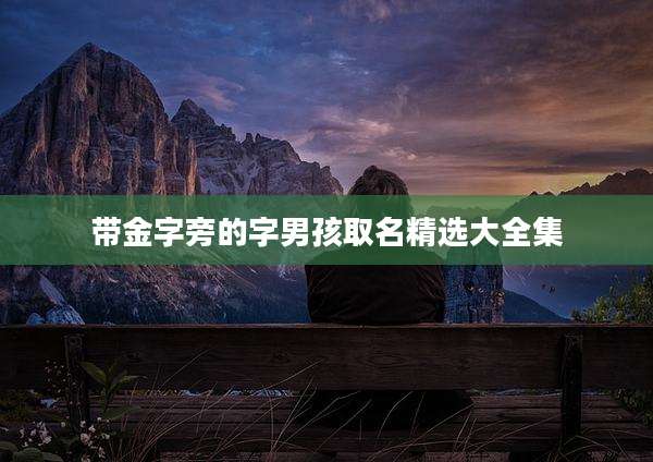 带金字旁的字男孩取名精选大全集
