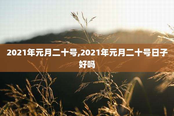 2021年元月二十号,2021年元月二十号日子好吗