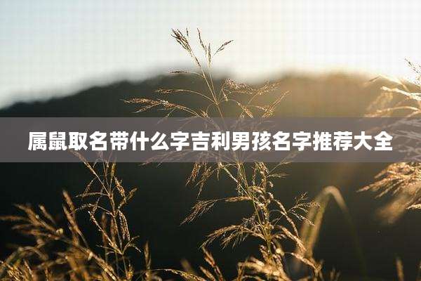 属鼠取名带什么字吉利男孩名字推荐大全