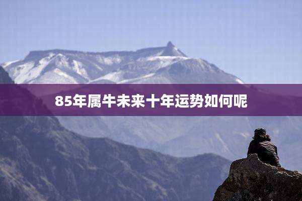 85年属牛未来十年运势如何呢