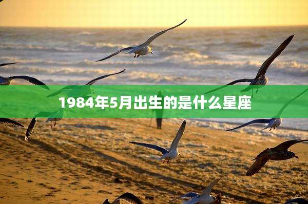 1984年5月出生的是什么星座