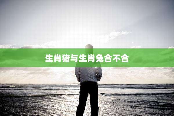 生肖猪与生肖兔合不合