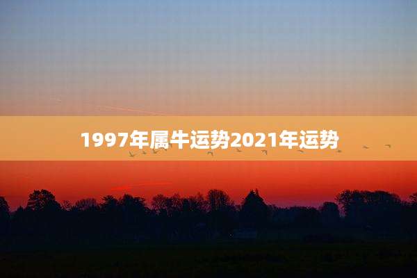 1997年属牛运势2021年运势