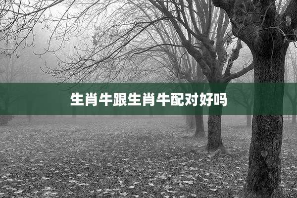 生肖牛跟生肖牛配对好吗