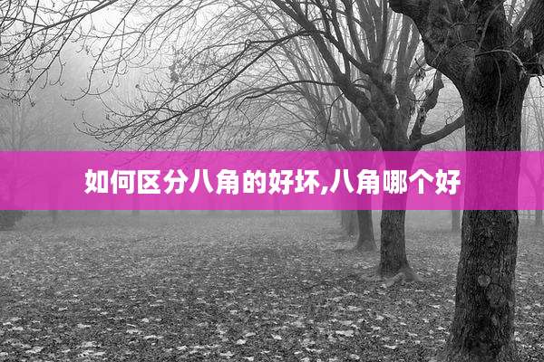 如何区分八角的好坏,八角哪个好