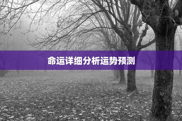 命运详细分析运势预测