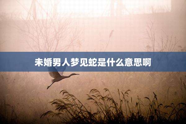 未婚男人梦见蛇是什么意思啊