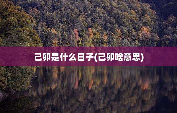 己卯是什么日子(己卯啥意思)