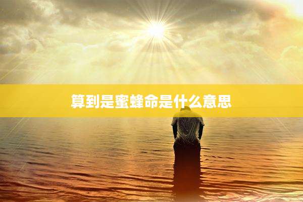 算到是蜜蜂命是什么意思