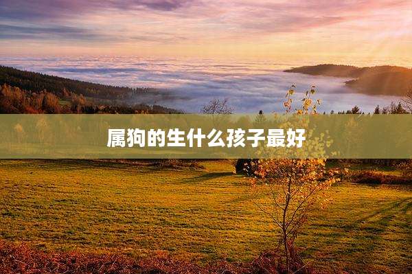 属狗的生什么孩子最好